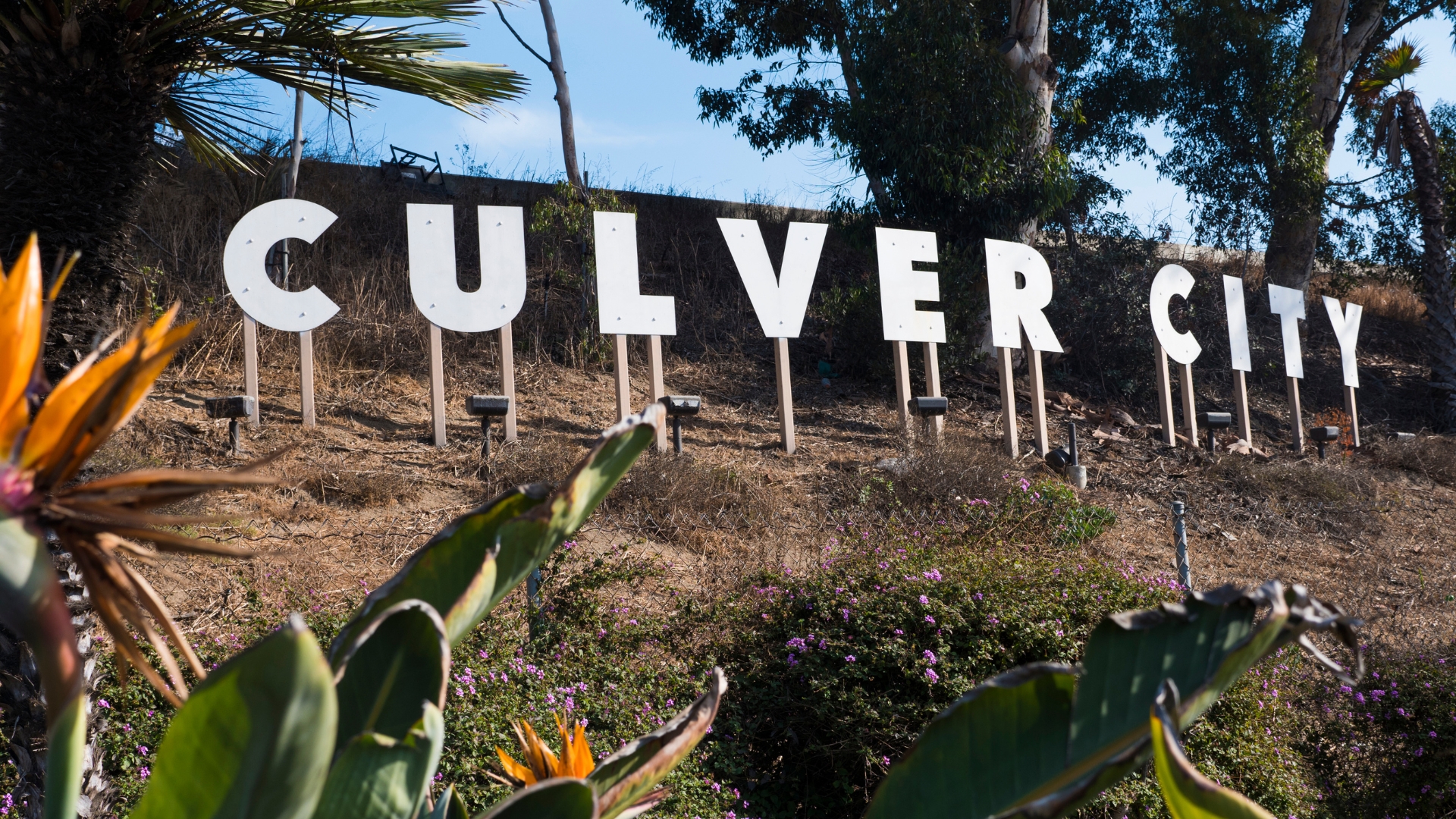 Aesthetic Dentistry Near Culver City for Busy Professionals and Wellness-Focused Patients