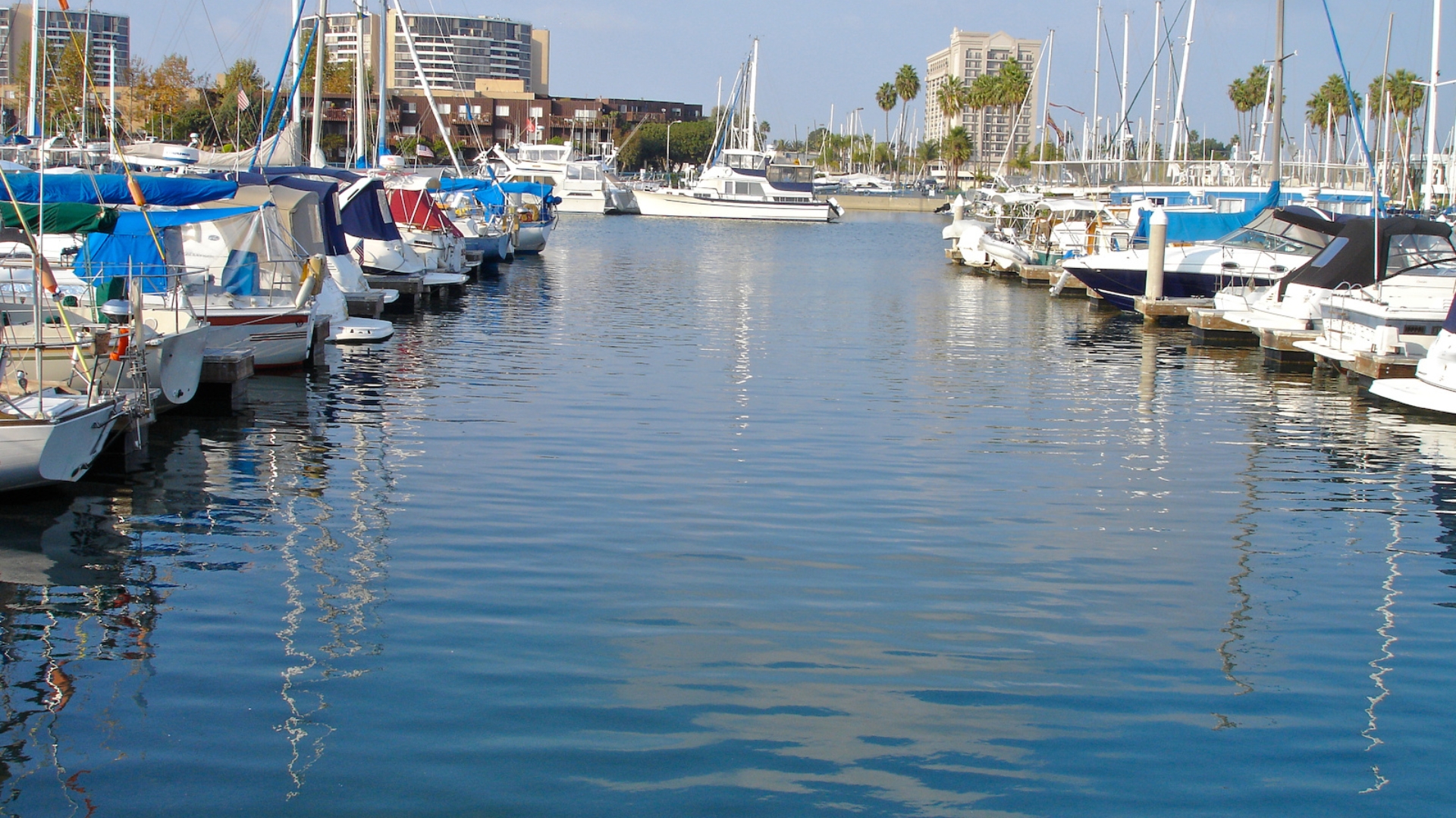 Aesthetic Dentistry Near Marina del Rey for Patients Who Want Care Close to Home